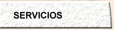 Servicios